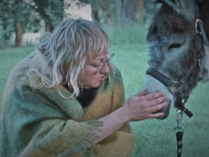 Donkey Days
